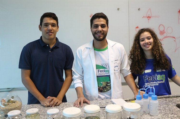 Equipe