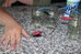 Experimento