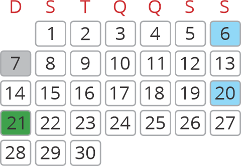 set-2025