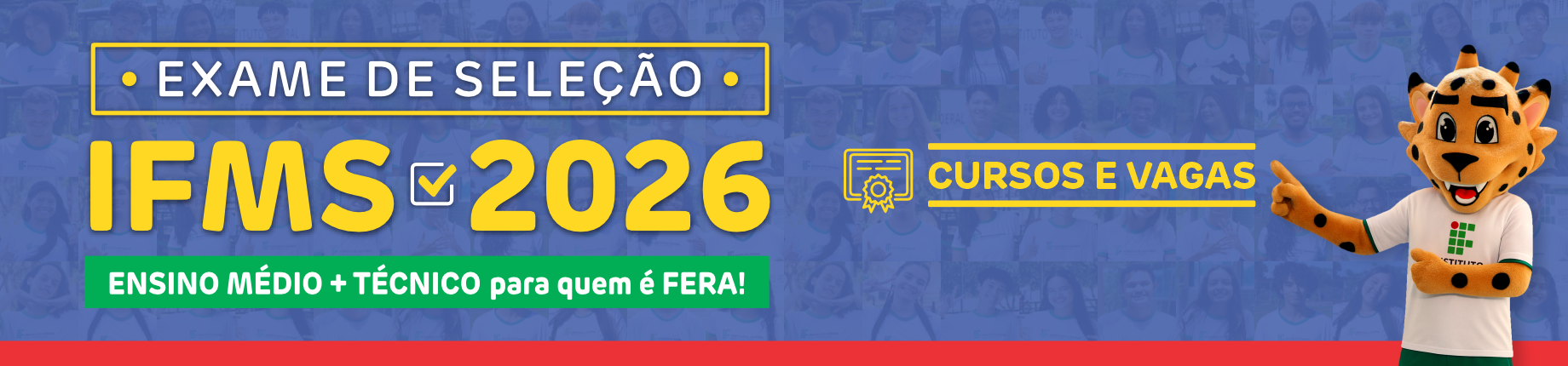 Cursos e vagas