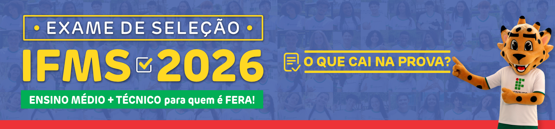 O que cai na prova?
