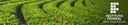 Gestão do Agronegócio (topo)