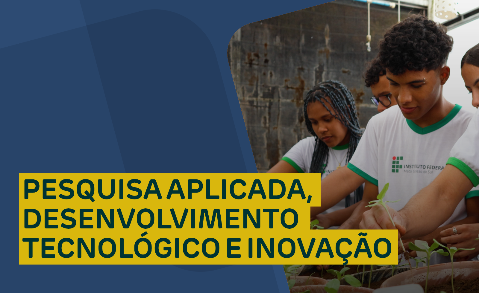 Seleção Pesquisa Aplicada