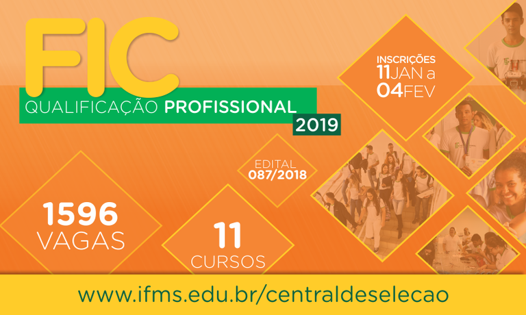 Formação Inicial e Continuada e Qualificação Profissional 2019