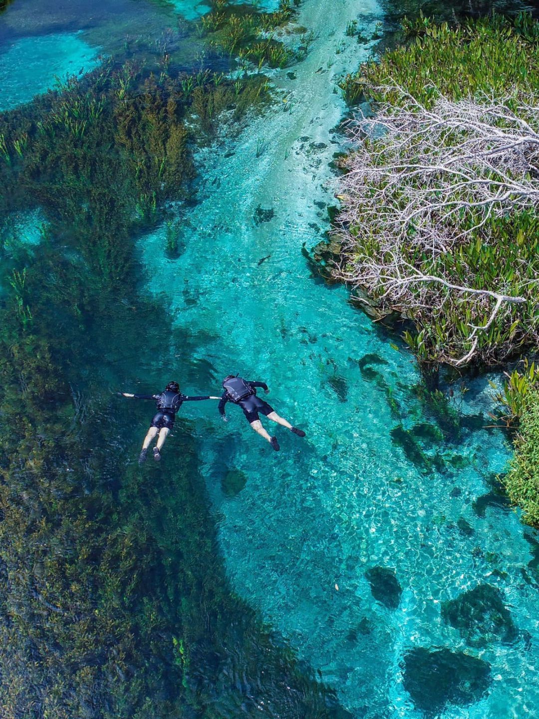 Rio Sucuri