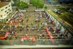 org_2d21fd424c3d3d50_1497382983000-01.jpeg