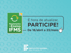 Imagem sobre a consulta aos regulamentos de ensino