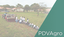Programa Despertando Vocações para as Ciências Agrárias (PDVAgro)