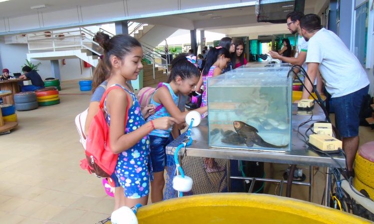 Feiras de Ciência e Tecnologia 2019