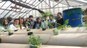 Semana do Meio Ambiente do IFMS 2017