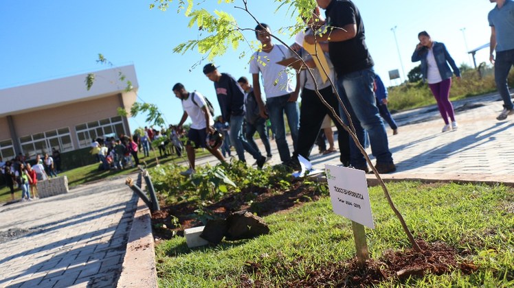 Semana do Meio Ambiente do IFMS 2017