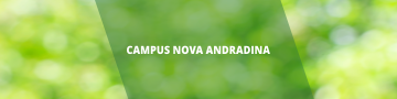 Botão Campus Nova Andradina