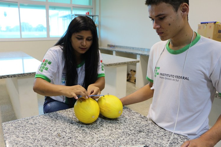 Experimento