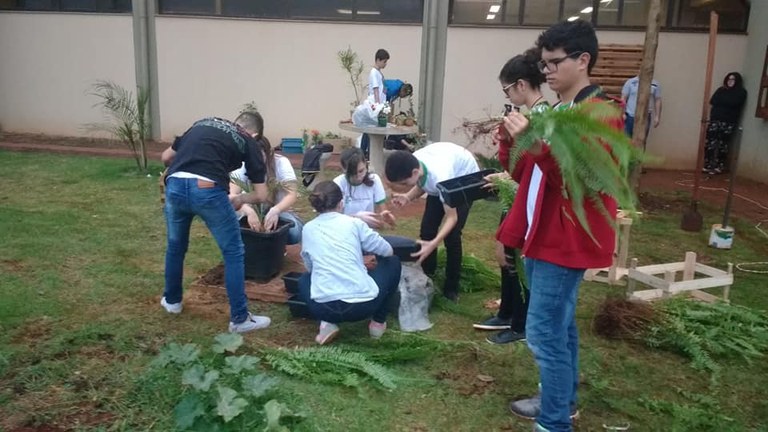 Semana do Meio Ambiente