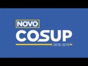 Consulta Conselho Superior 2018 - 2019