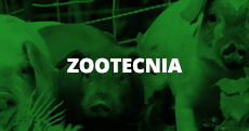Zootecnia (link)