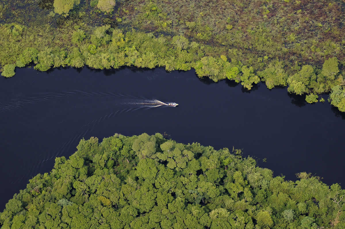 Bioma Pantanal