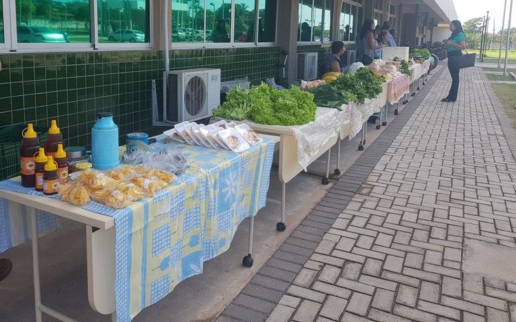 Feira Agroecológica de Corumbá