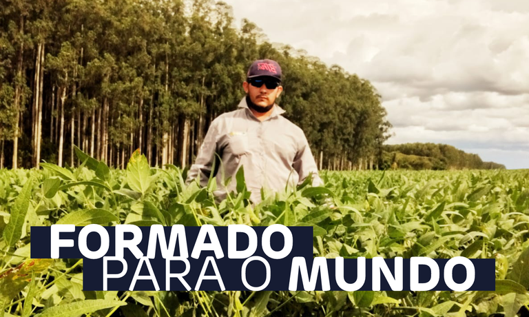 Imagem matéria