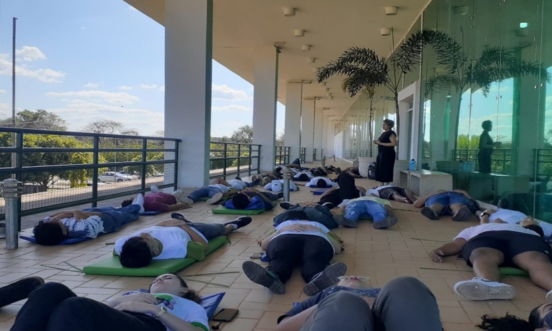 projeto extensão tl
