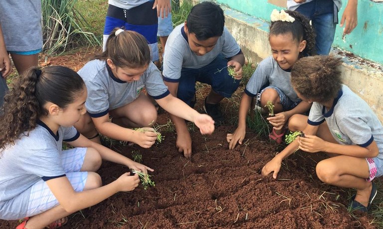 Projeto Horta Escolar