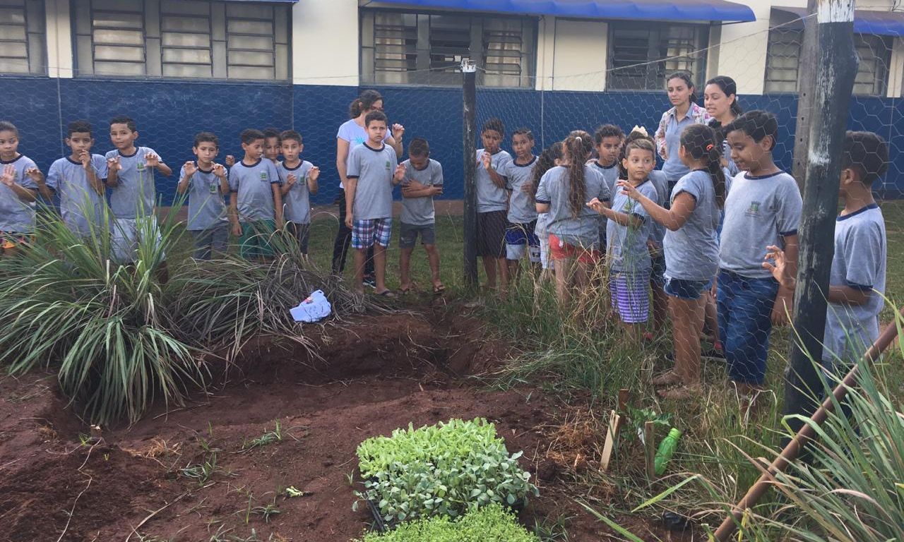 Projeto Horta Escolar