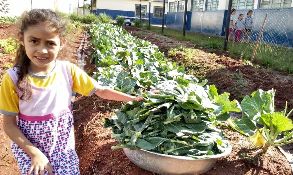 Projeto Horta Escolar