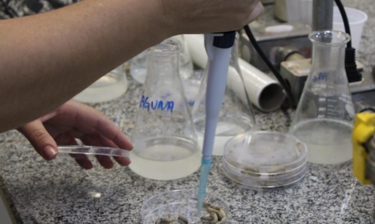 projetomotic1.jpg