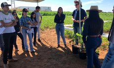 Campus, que possui cursos da área de Agrárias, realizará dias de campo para produtores - Foto: Campus Ponta Porã