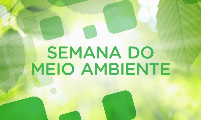 Divulgação Meio Ambiente