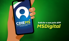 Carteirinha que garante descontos em diversos serviços é oferecida gratuitamente no aplicativo MS Digital. Saiba como ter o documento