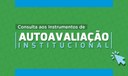 Consulta aos Instrumentos de Autoavaliação Institucional