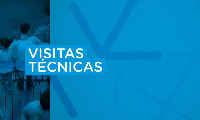 Visitas técnicas IFMS