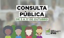 Consulta pública à minuta do PDI