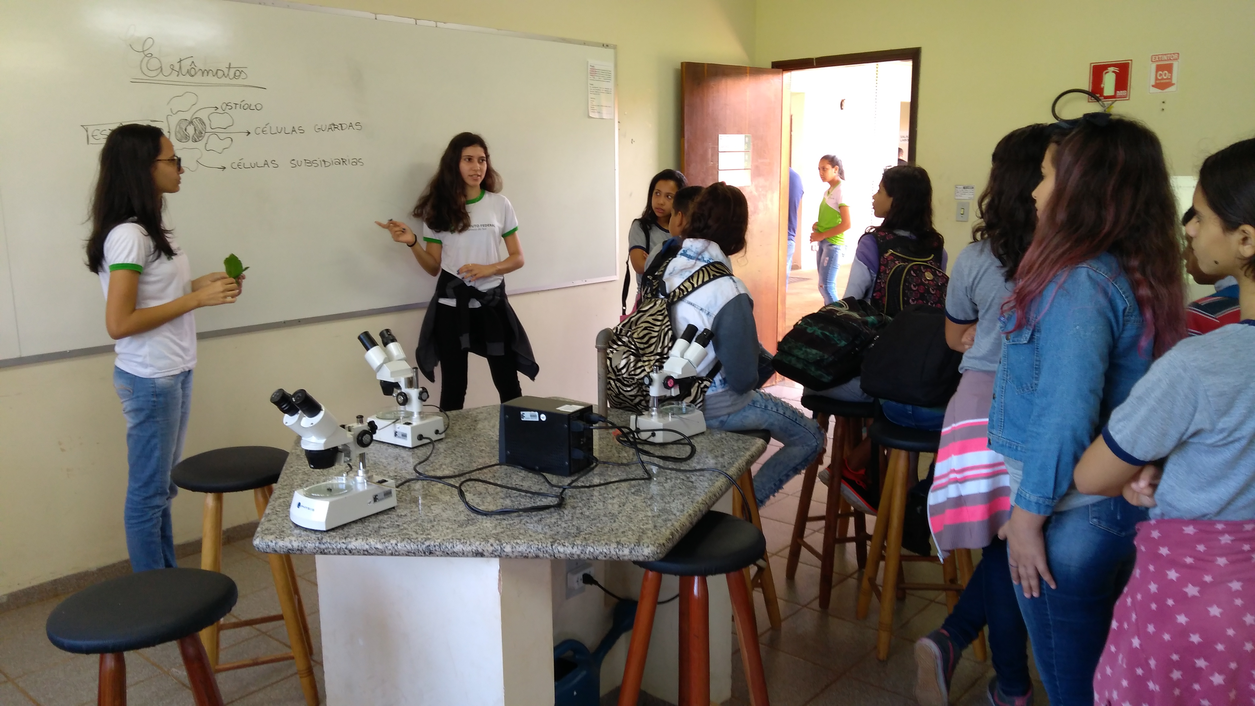 Campus Nova Andradina recebe alunos para experimentos práticos