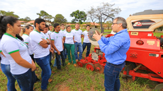 Bacharelado é oferecido nos campi Nova Andradina e Ponta Porã