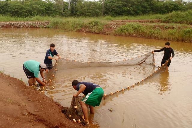 O projeto é desenvolvido em parceria com a Prefeitura - Foto: Campus Ponta Porã O projeto é desenvolvido em parceria com a Prefeitura - Foto: Campus Ponta Porã