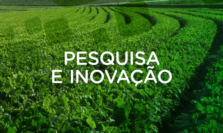 Pesquisa e Inovação