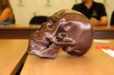 Crânio impresso em 3D em tamanho real